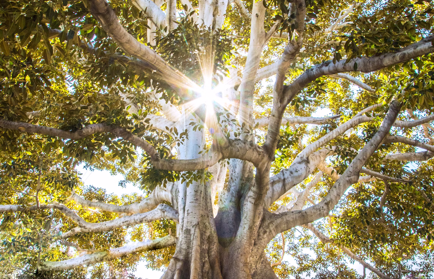 Практики благодарности для команды